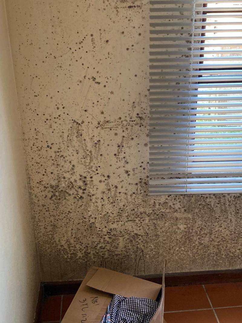 Bedroom before cleaning